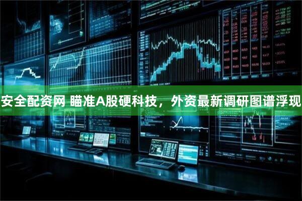 安全配资网 瞄准A股硬科技，外资最新调研图谱浮现