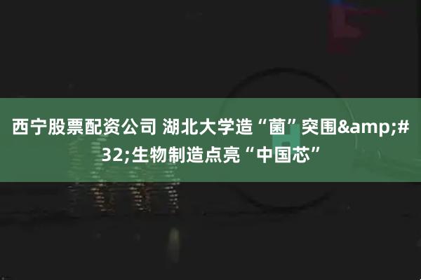 西宁股票配资公司 湖北大学造“菌”突围&#32;生物制造点亮“中国芯”