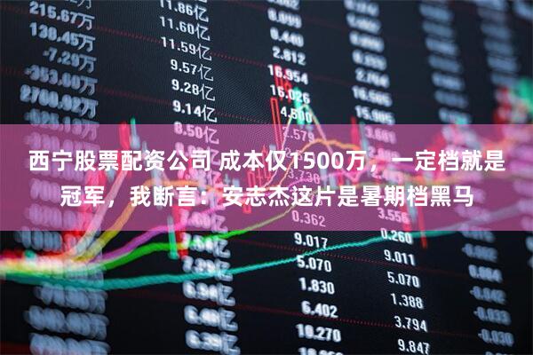西宁股票配资公司 成本仅1500万，一定档就是冠军，我断言：安志杰这片是暑期档黑马