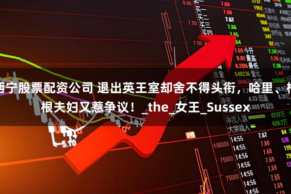 西宁股票配资公司 退出英王室却舍不得头衔，哈里、梅根夫妇又惹争议！_the_女王_Sussex