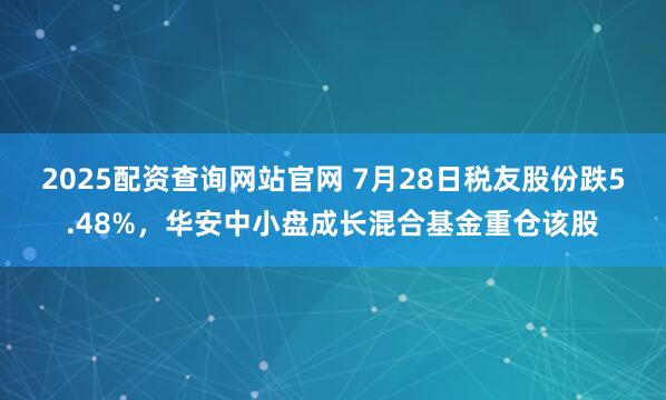 2025配资查询网站官网 7月28日税友股份跌5.48%，华安中小盘成长混合基金重仓该股