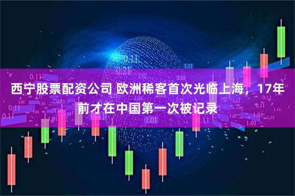 西宁股票配资公司 欧洲稀客首次光临上海，17年前才在中国第一次被记录