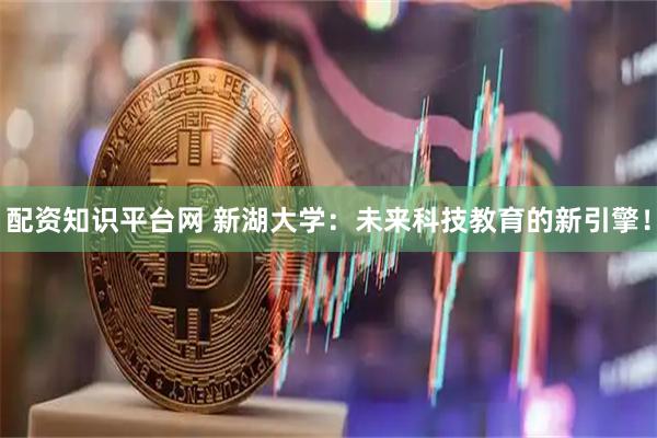 配资知识平台网 新湖大学：未来科技教育的新引擎！